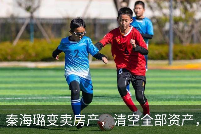 秦海璐变卖房产，清空全部资产，凑出近亿身家，绝境兜底救下刘涛
